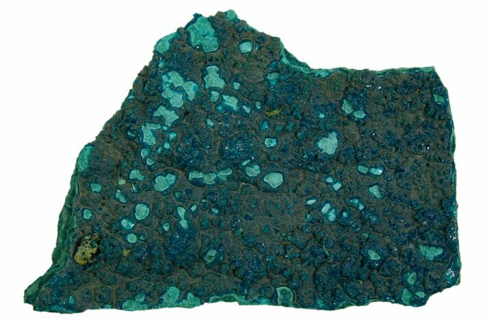 Teal Botryoidal Chrysocolla and Malachite - Chile #310149